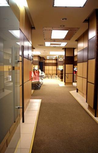 Особняк Матвеевский - картинка 23 Особняк Матвеевский - картинка 23