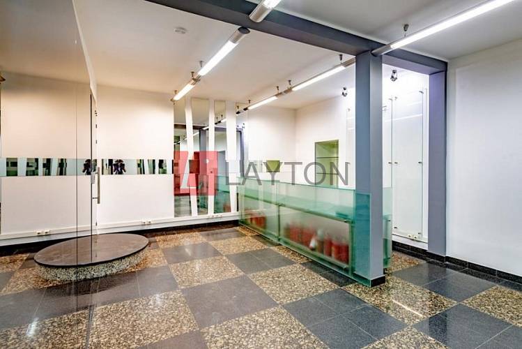 Особняк На Чаплыгина 9 - картинка 7 Особняк На Чаплыгина 9 - картинка 7