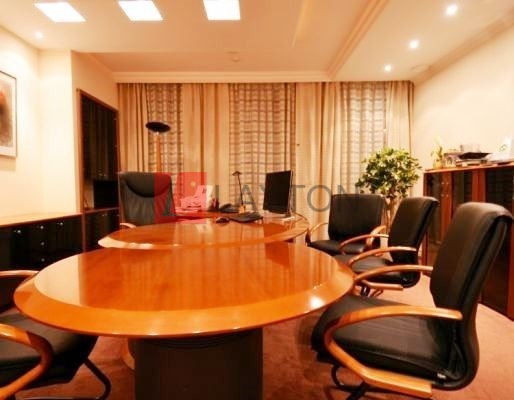 Особняк Доброслободская 8 стр.4 - картинка 12 Особняк Доброслободская 8 стр.4 - картинка 12