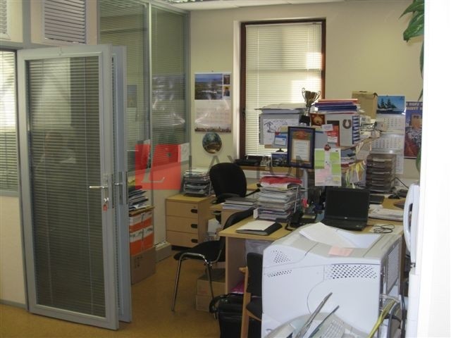 Особняк Романов - картинка 12 Особняк Романов - картинка 12