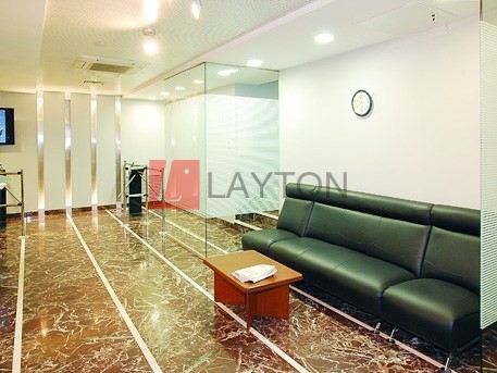 Особняк Неглинная 17 стр.2 - картинка 6 Особняк Неглинная 17 стр.2 - картинка 6