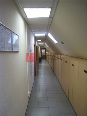 Особняк Романов - картинка 25 Особняк Романов - картинка 25